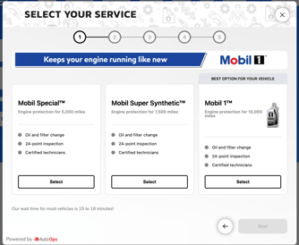 Advanced Issues Selection Cust View
